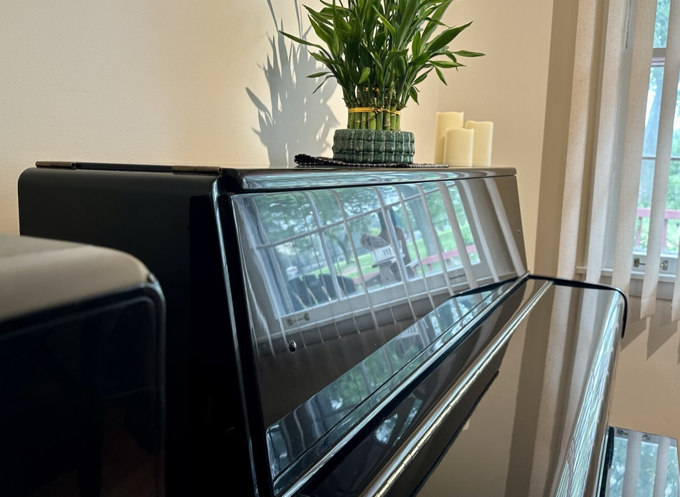 Professional cleaner performing standard cleaning in a Lake County, IL home